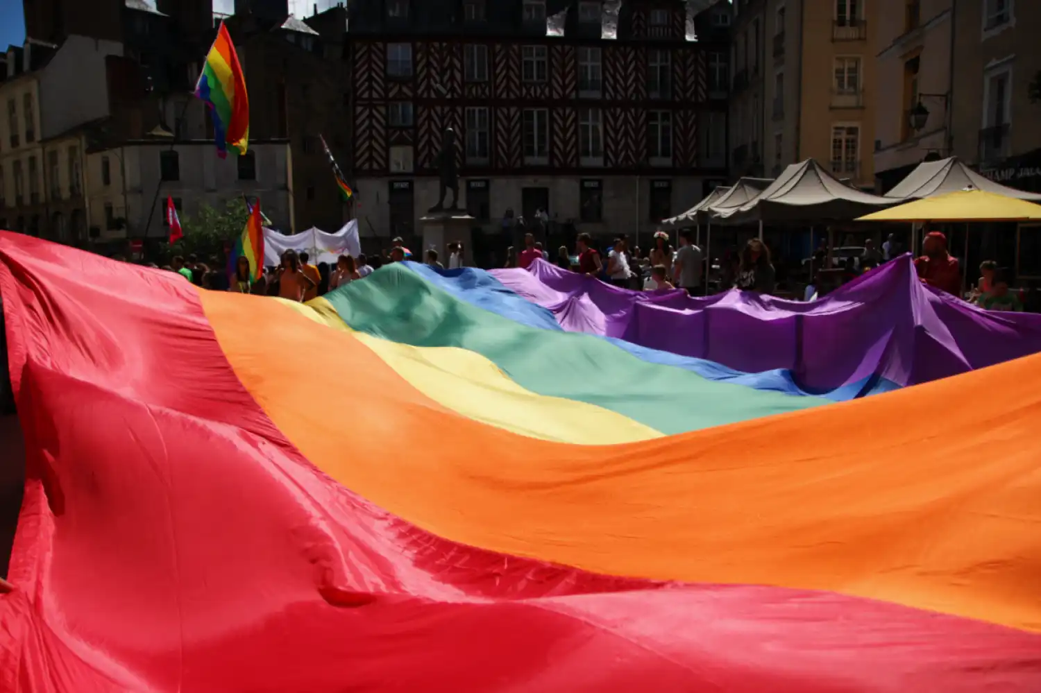 Сенат ЛГБТ насихатына тыйым салатын заңды мақұлдады