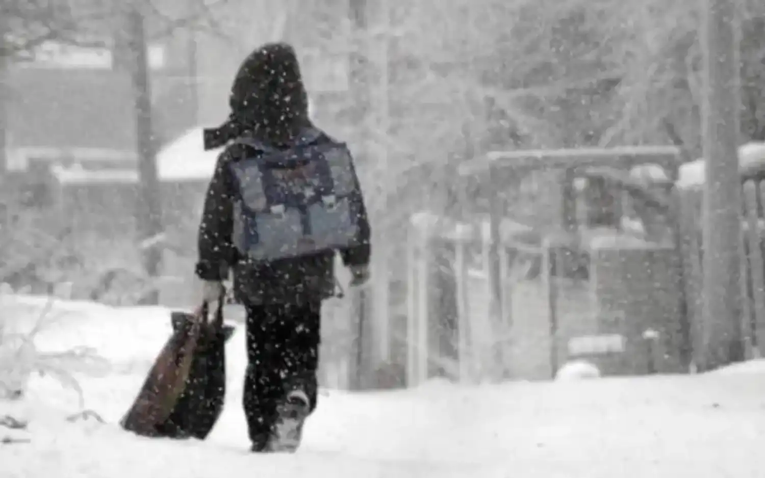 Алқаш әкесі күн көрсетпейді: павлодарлық 8 жасар қыз балалар үйінде тұруды сұрады